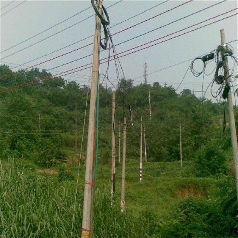 Is Steel Rebar Hidden Inside a Concrete Utility Pole? Many People Guess Wrong!